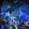 led-trang-tri-cay-xanh