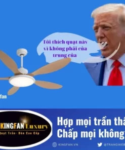 quat-tran-5-canh-kingfan969