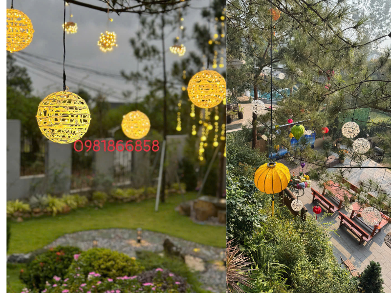 Thi Công đèn led cho cây bằng đèn led 5-12V