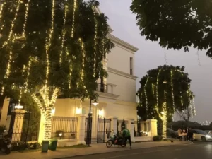 Lắp Đặt Trang Trí Đèn Led Cây Tại Khu Đô Thị Splendora