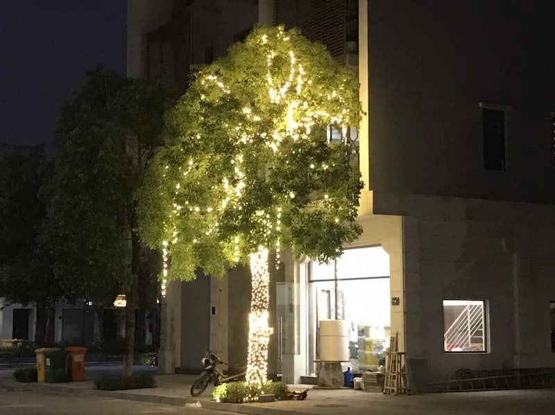 lap-den-led-trang-tri-cay-kdt-splendora-5-jpg Lắp Đặt Trang Trí Đèn Led Cây Tại Khu Đô Thị Splendora