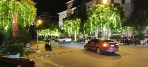 Lắp Đèn Led Trang Trí Cây Xanh Tại Khu Đô Thị Mới An Hưng Hà Đông