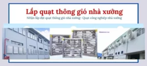 Quạt thông gió nhà xưởng