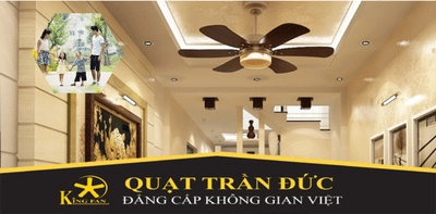 quat-tran-duc