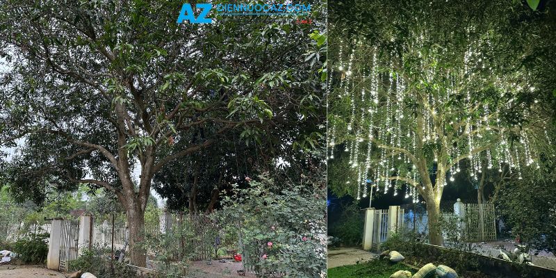 Trang Trí Đèn LED Cho Cây Ngoài Trời Dịch vụ trang trí đèn led cây