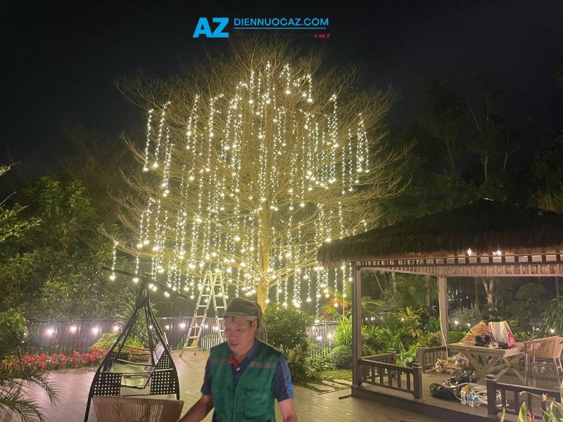 Trang Trí Đèn LED Cho Cây Ngoài Trời huong dan lap den led trang tri cho cay san vuon