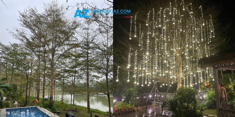 Trang Trí Đèn LED Cho Cây Ngoài Trời So sánh sân vườn trước và sau khi lắp đèn LED