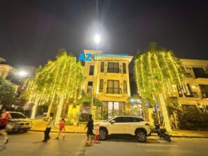 trang tri den led san vuon