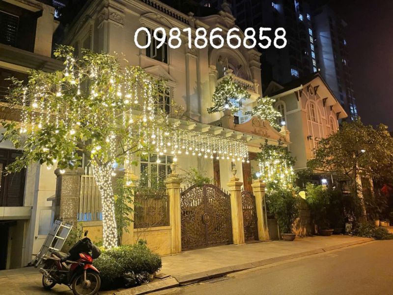 Trang Trí Đèn LED Cho Cây Ngoài Trời trang tri den led tren cay