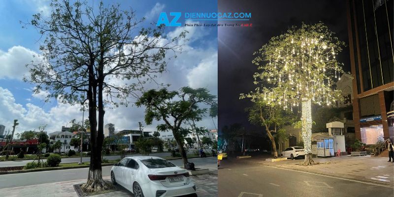 Trang Trí Đèn LED Cho Cây Ngoài Trời Dịch vụ trang trí đèn led cây